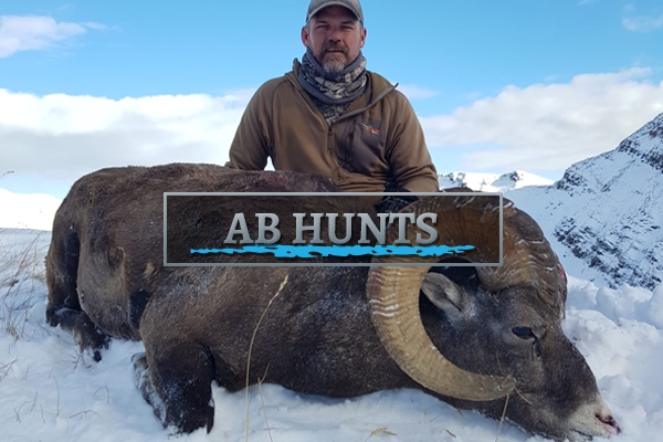 Alberta Hunting Trips Alberta Hunting Trips