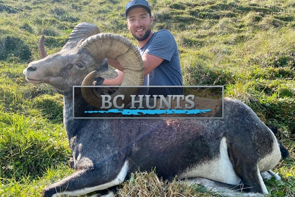 British Columbia Hunting Trips British Columbia Hunting Trips
